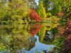 Exbury-gardens