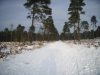 RIMG0222