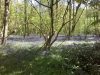 WP_20150428_002