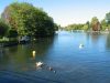 WOW IMG_3848 MH
