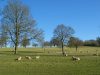 WOW Swyncombe 020216  IMG_6866 JO